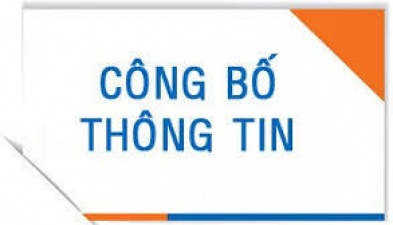 Bảng cập nhật Báo cáo minh bạch 2020, ngày 24/11/2021